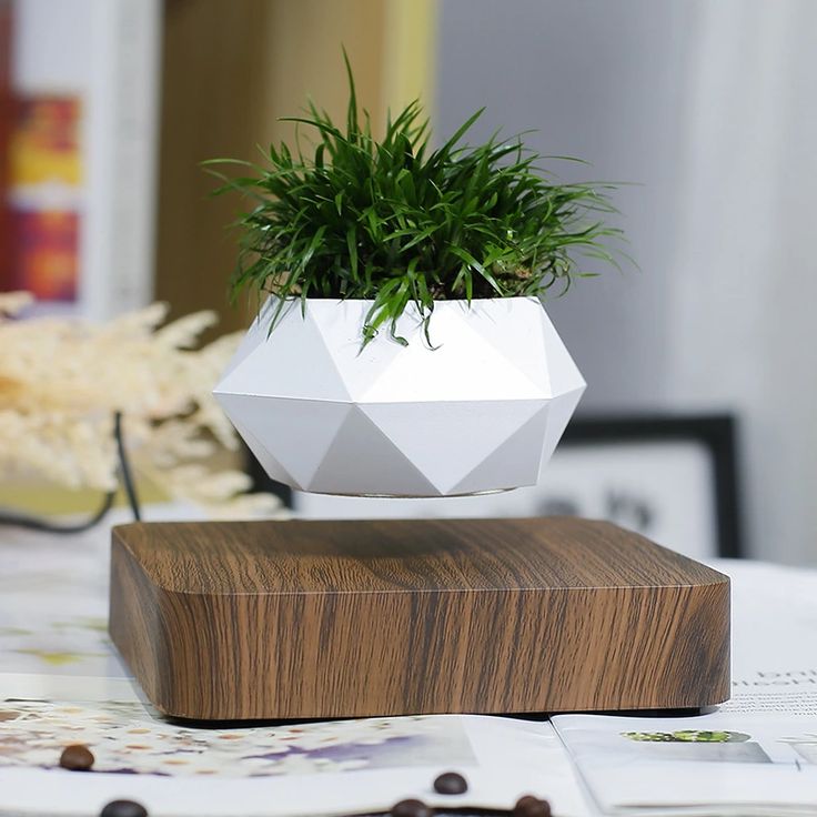 Floating Plant Pot - Satisfying Bedroom Gadgets