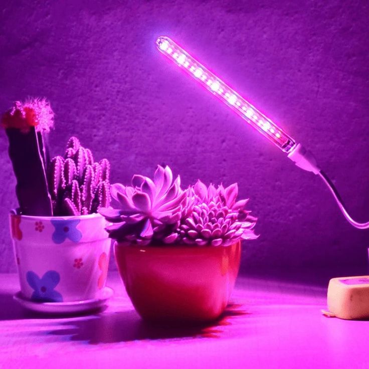 USB plant light - Satisfying Bedroom Gadget
