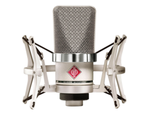 Neumann TLM 102 - Best Mic for Recording Vocals