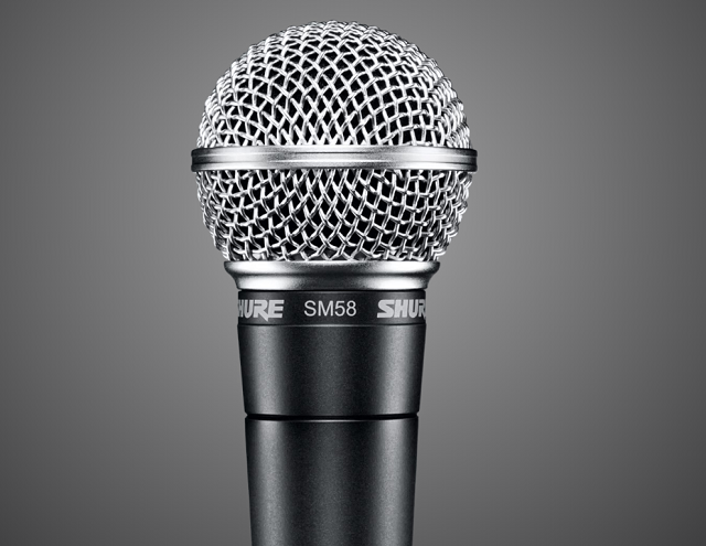 Shure SM 58 - best microphone for recording vocals beginner